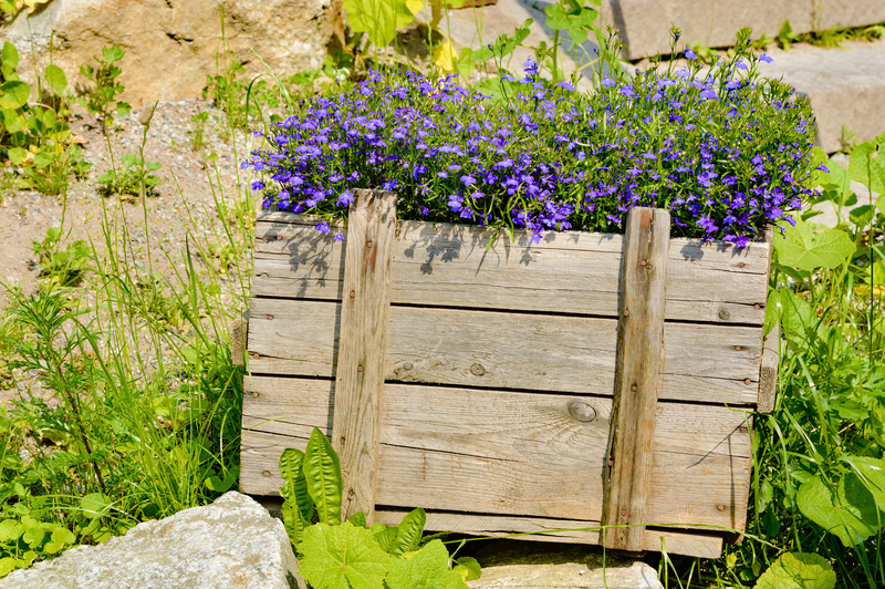 Rubbish removal waste removal